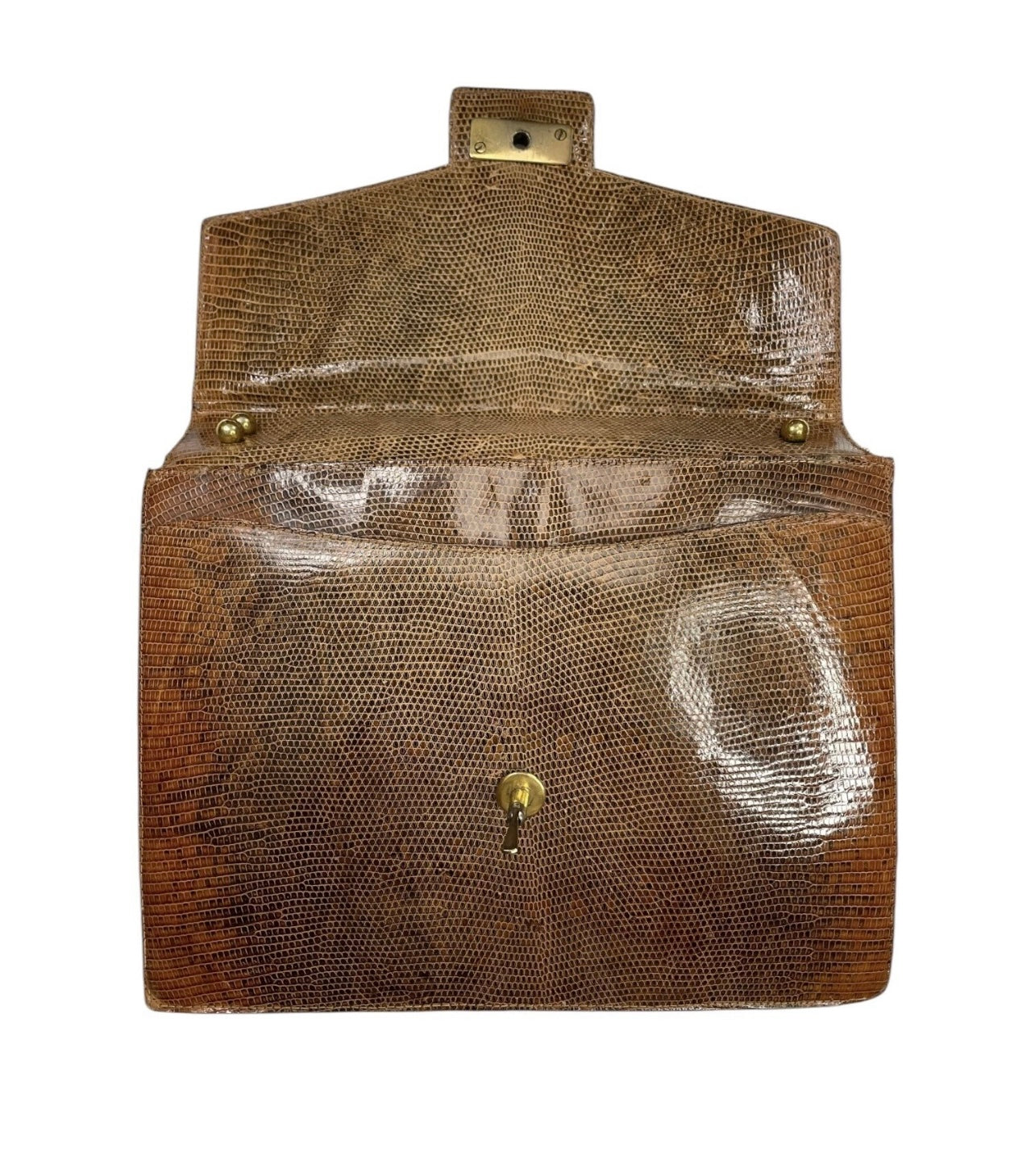 Vintage Lizard Handbag with matching coin