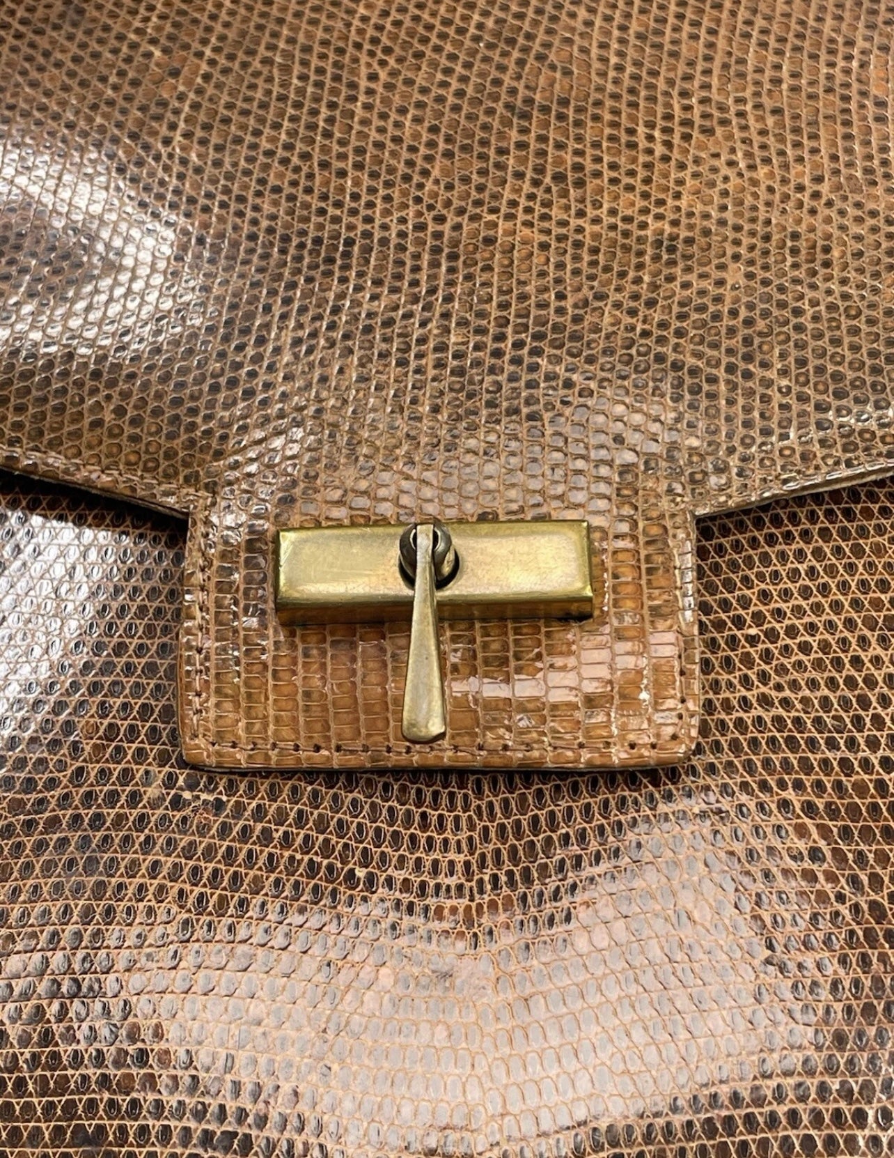 Vintage Lizard Handbag with matching coin