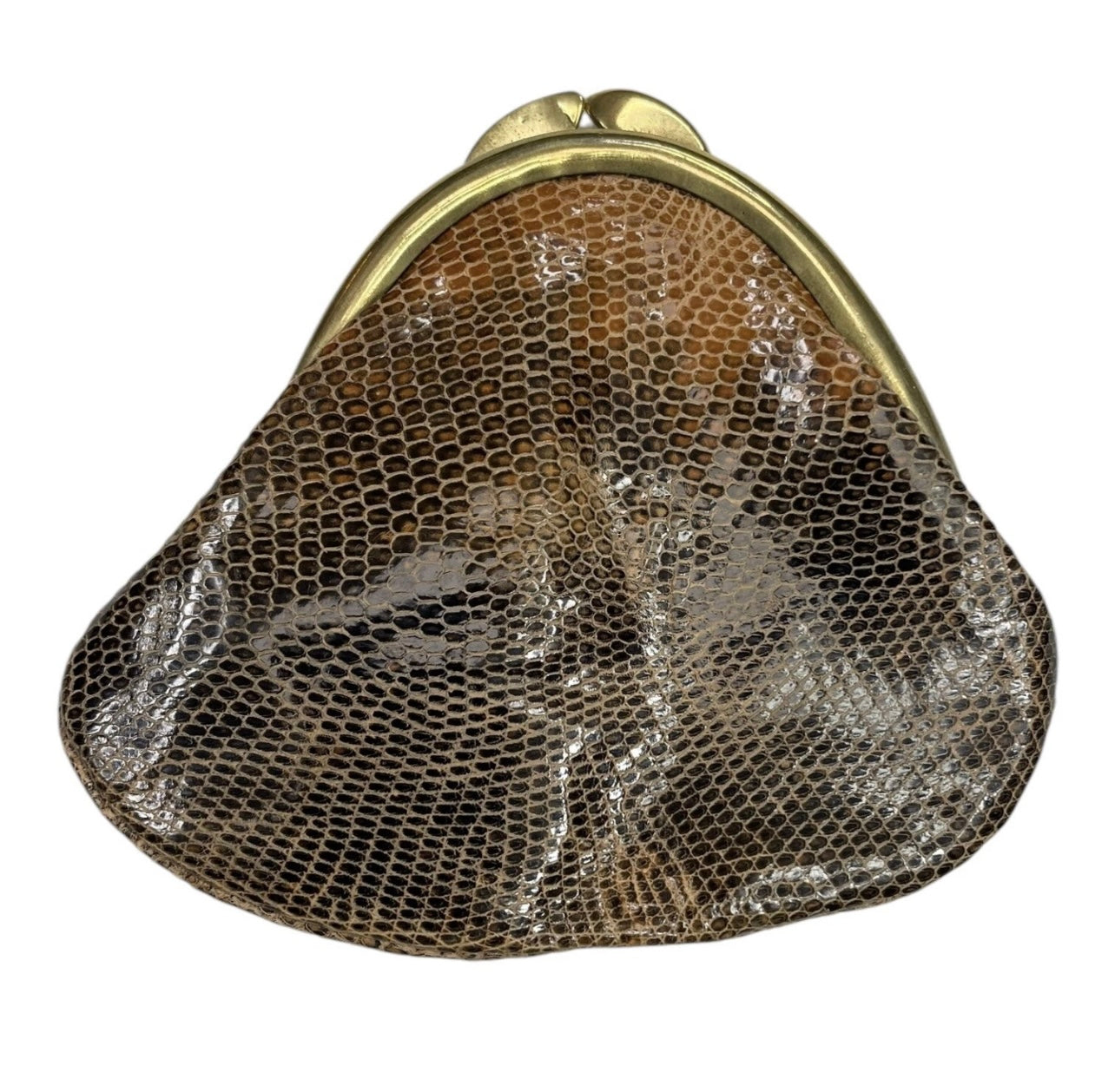Vintage Lizard Handbag with matching coin